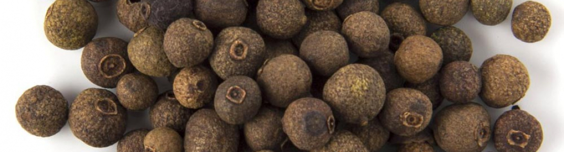 Mexican allspice outlook