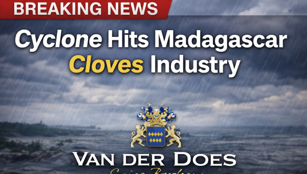 Cyclone impacts Madagascar cloves supply chain